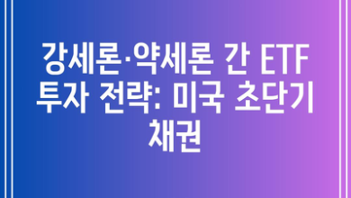 강세론·약세론 간 ETF 투자 전략: 미국 초단기 채권