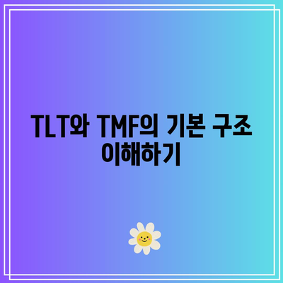 국채 투자: TLT, TMF, KBSTAR 미국 30년 국채의 매력