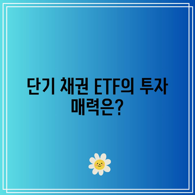 국채 금리와 단기 채권 ETF SGOV 투자 전략