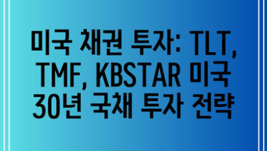 미국 채권 투자: TLT, TMF, KBSTAR 미국 30년 국채 투자 전략