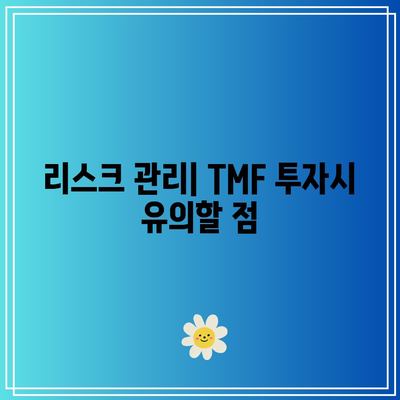국채 투자 열풍과 미국 TMF (20년물 레버리지 ETF)