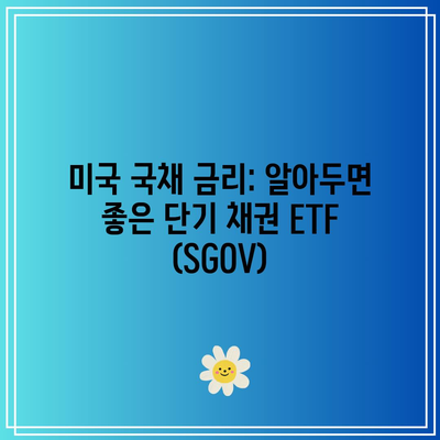 미국 국채 금리: 알아두면 좋은 단기 채권 ETF (SGOV)