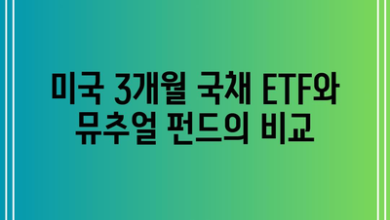 미국 3개월 국채 ETF와 뮤추얼 펀드의 비교