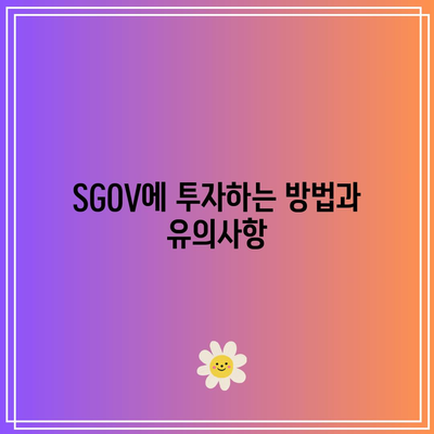 단기 채권에 투자하는 국채 ETF: SGOV 소개