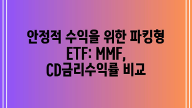 안정적 수익을 위한 파킹형 ETF: MMF, CD금리수익률 비교