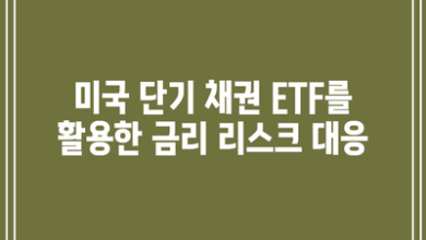 미국 단기 채권 ETF를 활용한 금리 리스크 대응