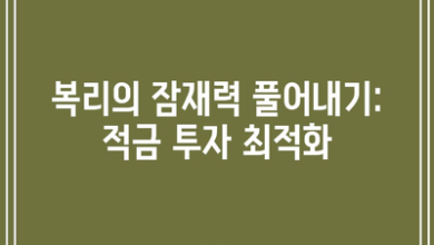 복리의 잠재력 풀어내기: 적금 투자 최적화