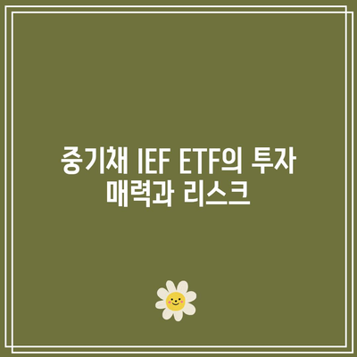 미국 국채 투자 전망과 중기채 IEF ETF 검토
