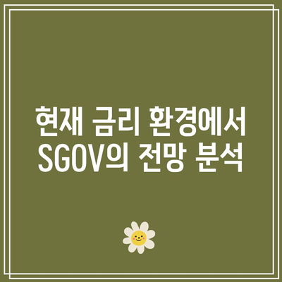 미국 국채 금리: 알아두면 좋은 단기 채권 ETF (SGOV)