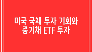 미국 국채 투자 기회와 중기채 ETF 투자