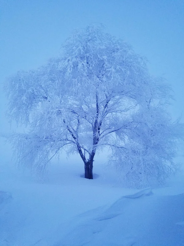 건강검진 예약 꿀팁