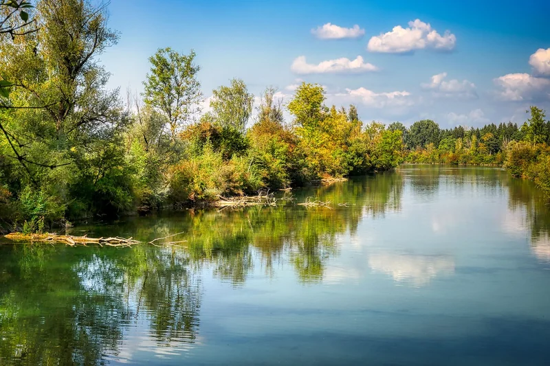 건강검진 예약 꿀팁