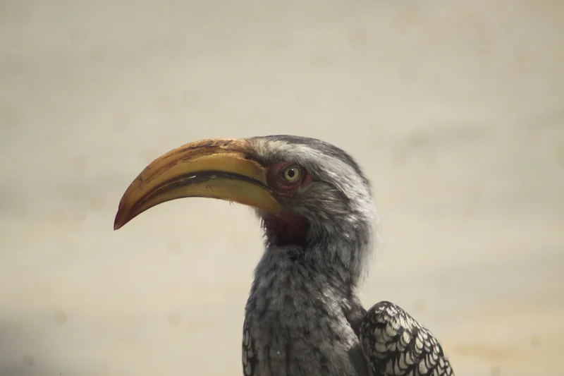 전기세 청구 기준 설명