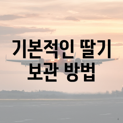 기본적인 딸기 보관 방법