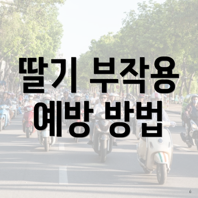 딸기 부작용 예방 방법