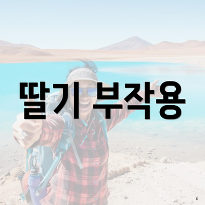 딸기 부작용