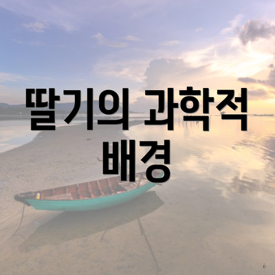 딸기의 과학적 배경