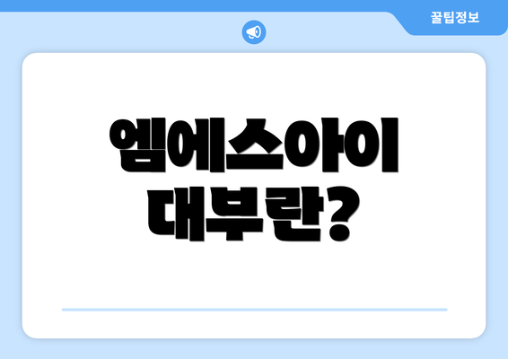 엠에스아이 대부란?