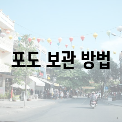 포도 보관 방법