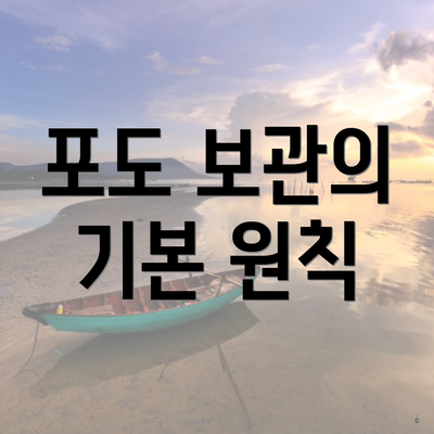포도 보관의 기본 원칙