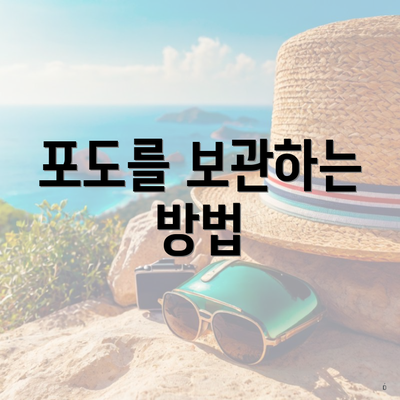 포도를 보관하는 방법