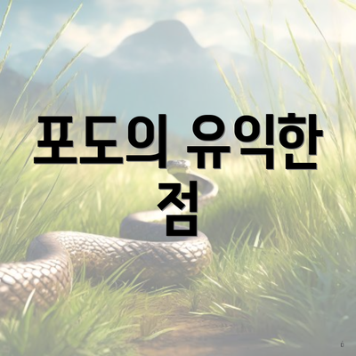 포도의 유익한 점