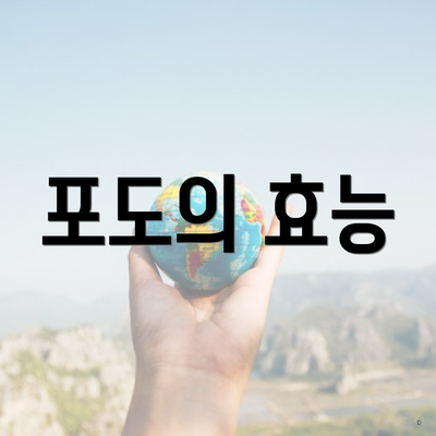 포도의 효능