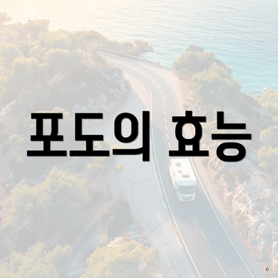 포도의 효능