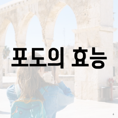 포도의 효능