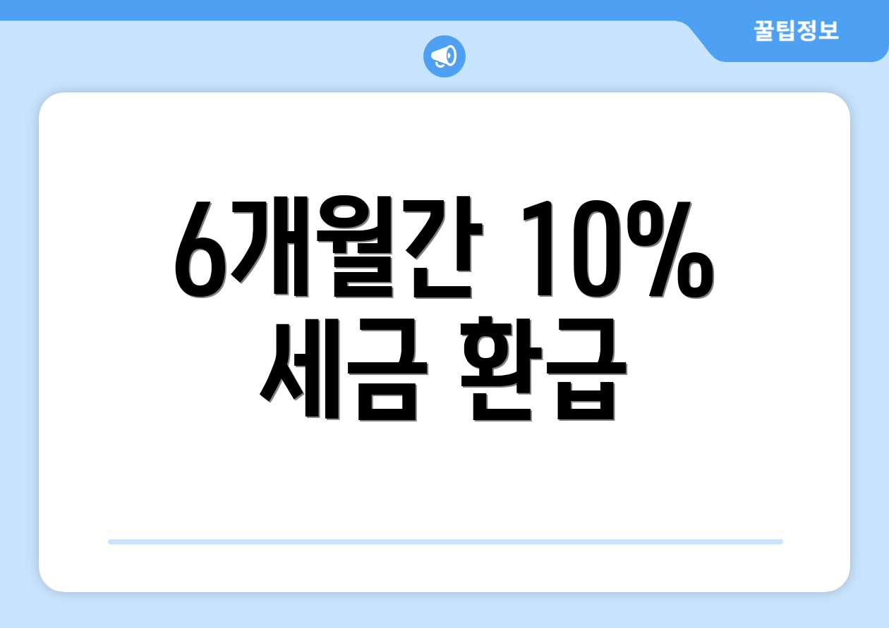 6개월간 10% 세금 환급