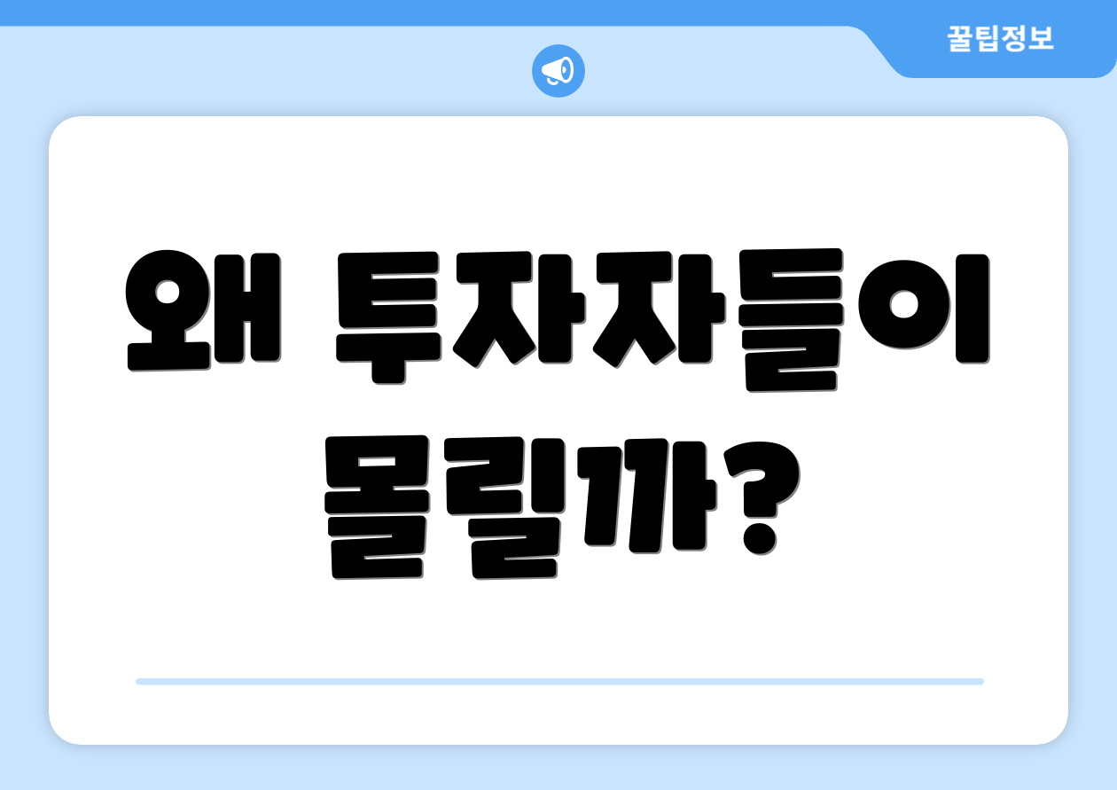 왜 투자자들이 몰릴까?