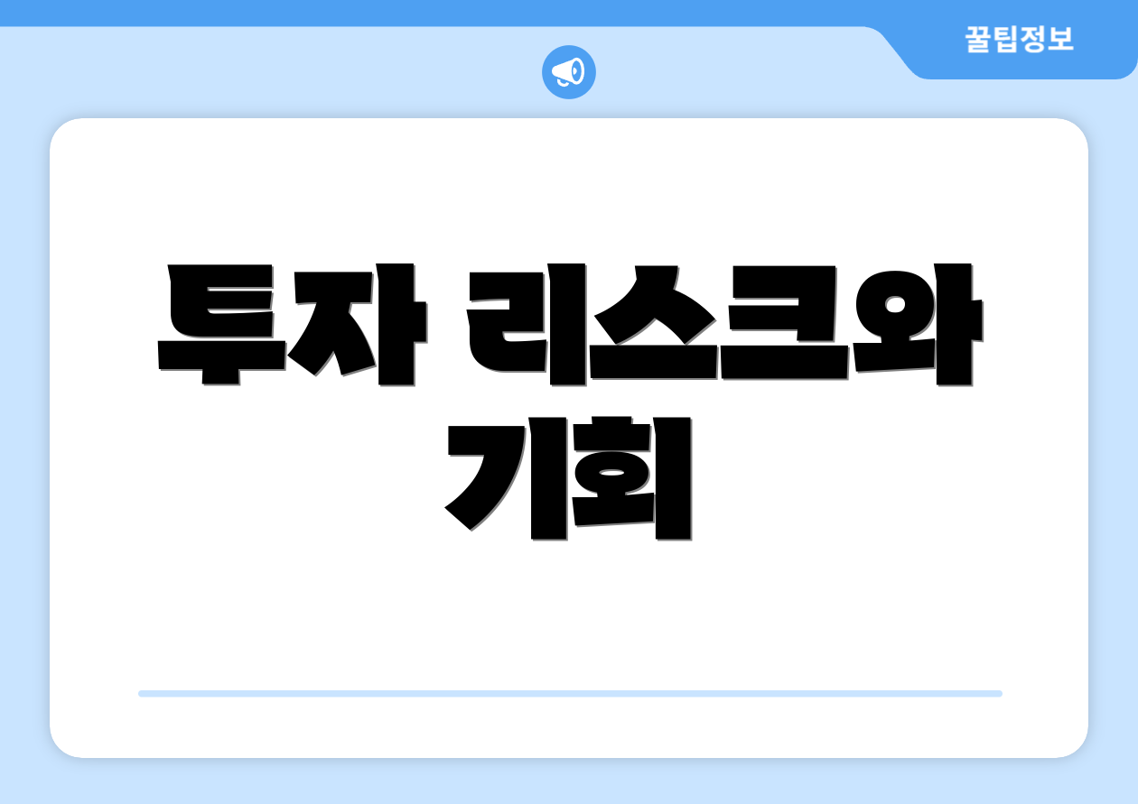 투자 리스크와 기회