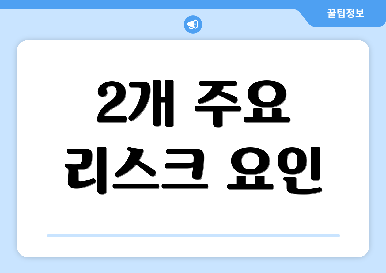 2개 주요 리스크 요인