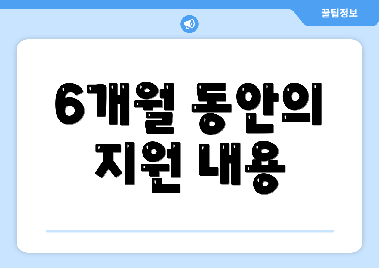 6개월 동안의 지원 내용
