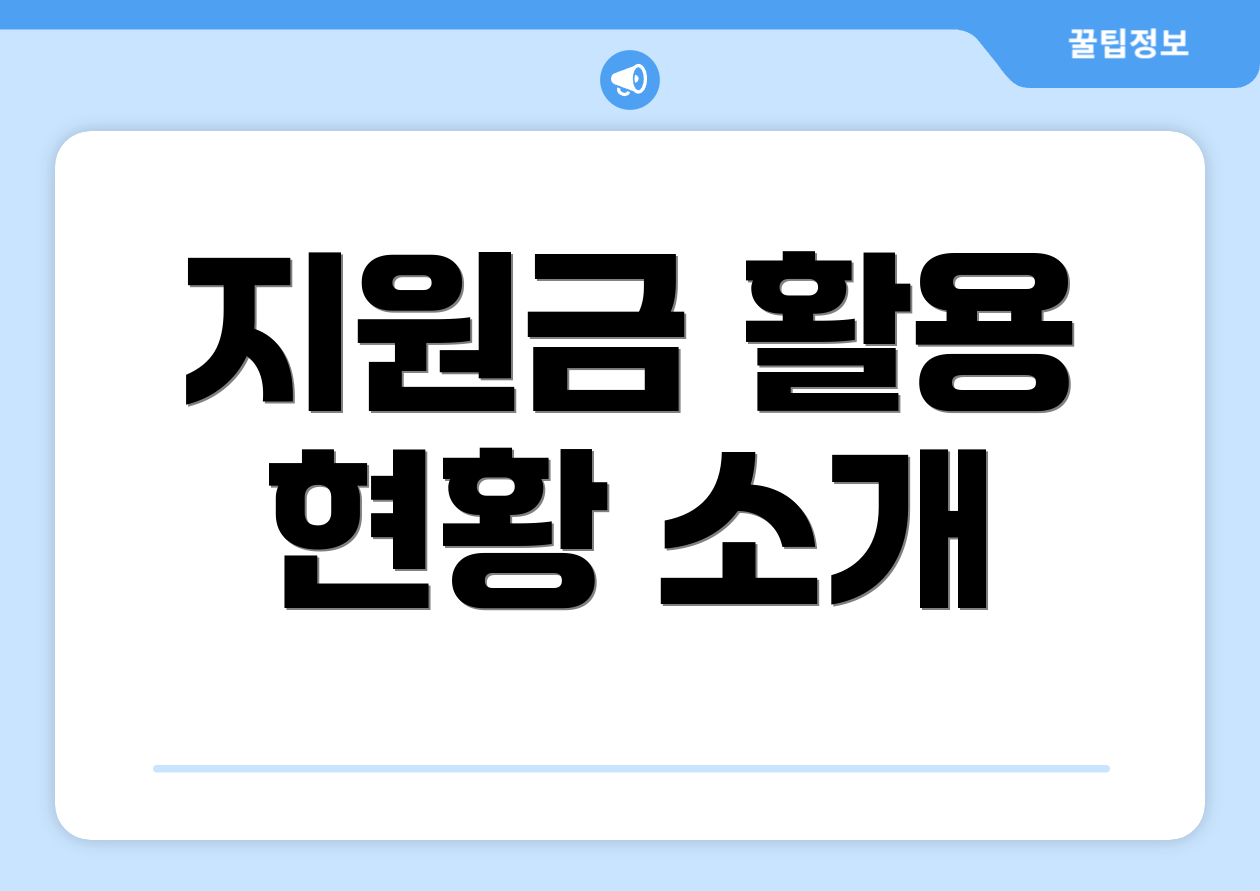 지원금 활용 현황 소개