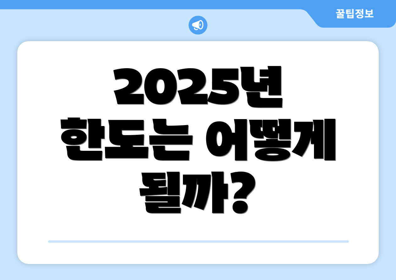 2025년 한도는 어떻게 될까?