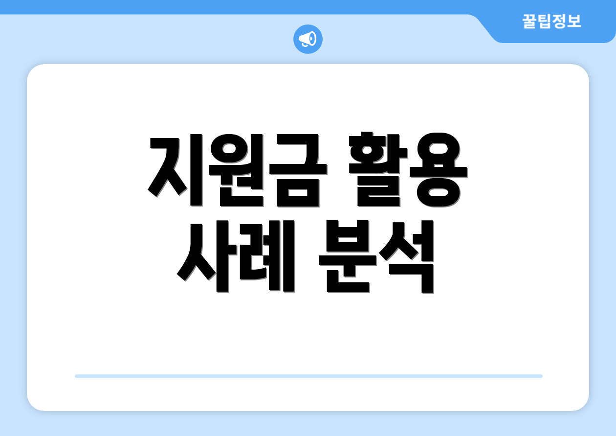 지원금 활용 사례 분석