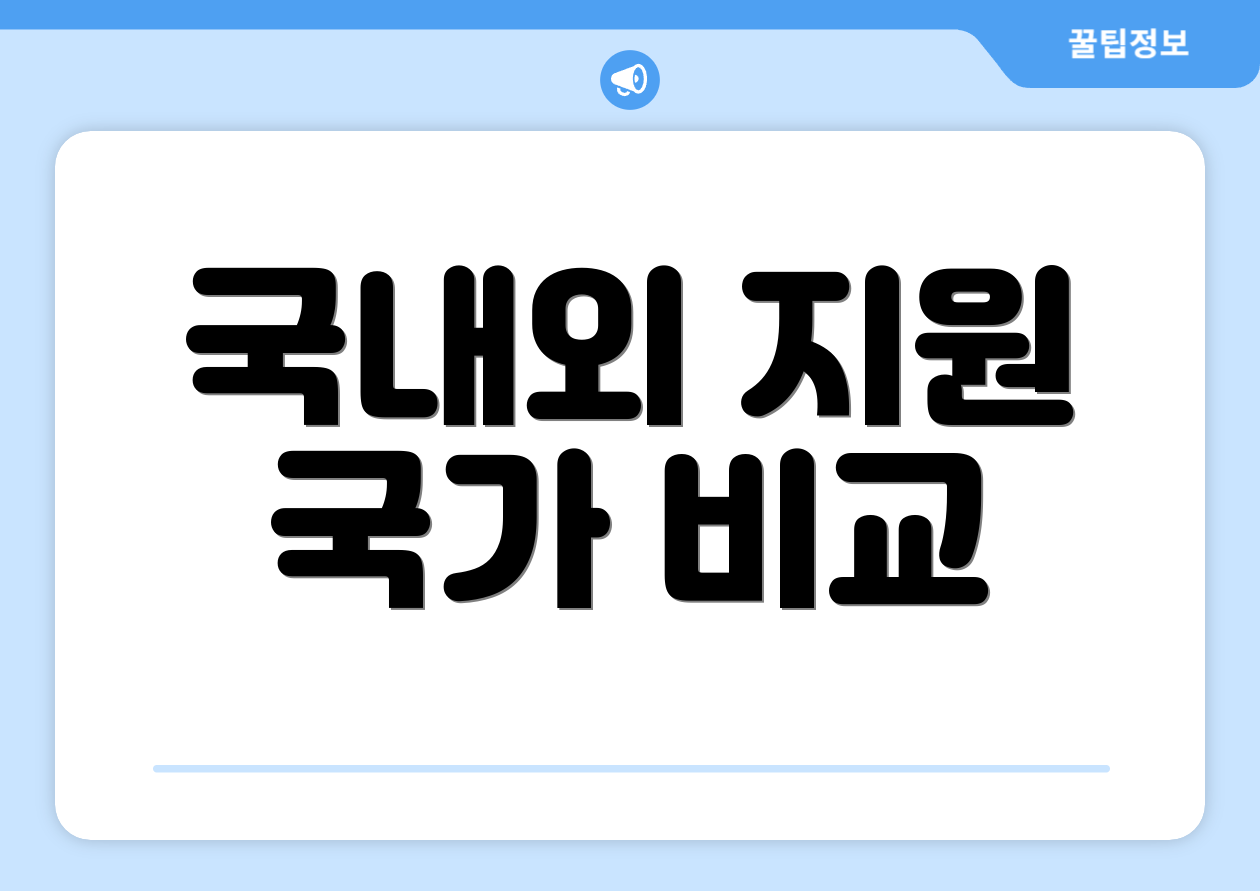 국내외 지원 국가 비교