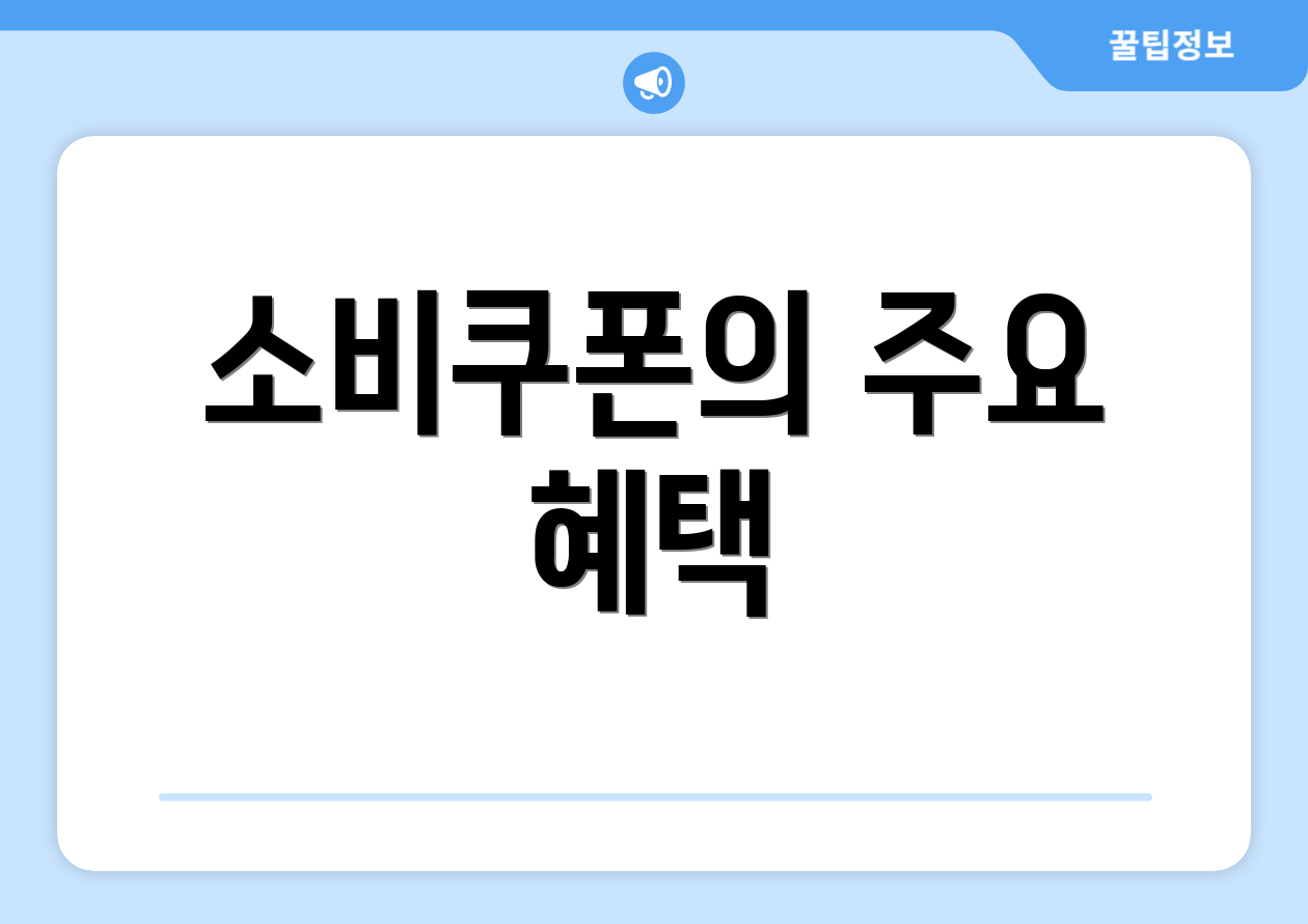 소비쿠폰의 주요 혜택