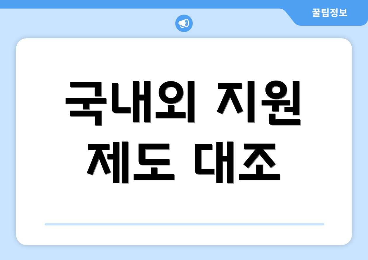 국내외 지원 제도 대조