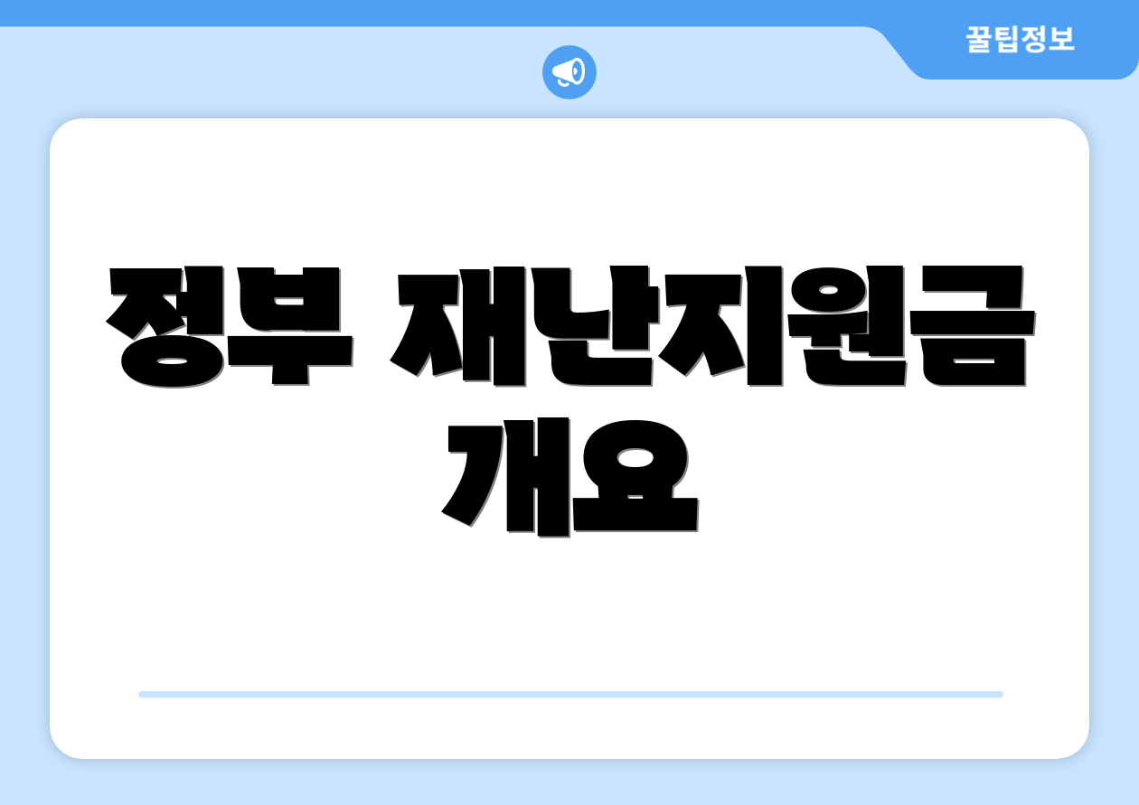 정부 재난지원금 개요