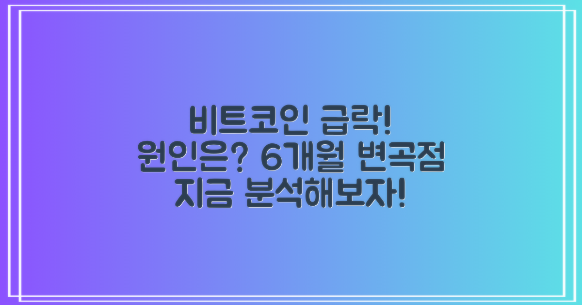 비트코인 급락 이유 분석: 6개월 추세 변화